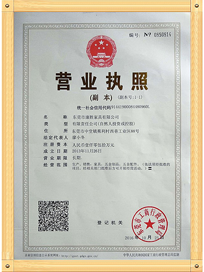 天行（中国）-营业执照